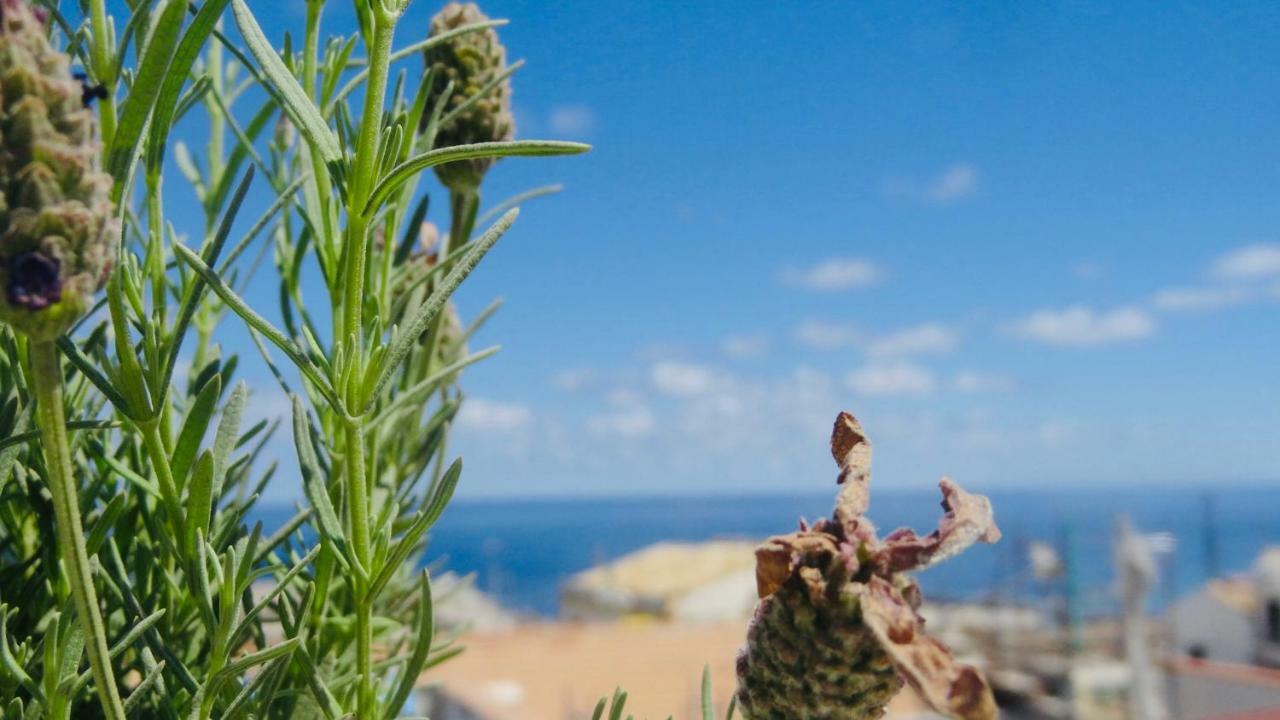 Home Holiday Sicily Isola delle Femmine Bagian luar foto